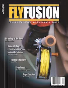 Fly Fusion Vol 4 Issue 4