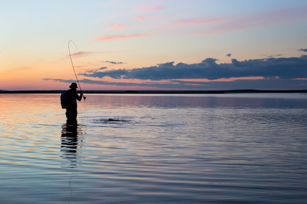 Gary the Professor of Fly Fishing Fly Fusion